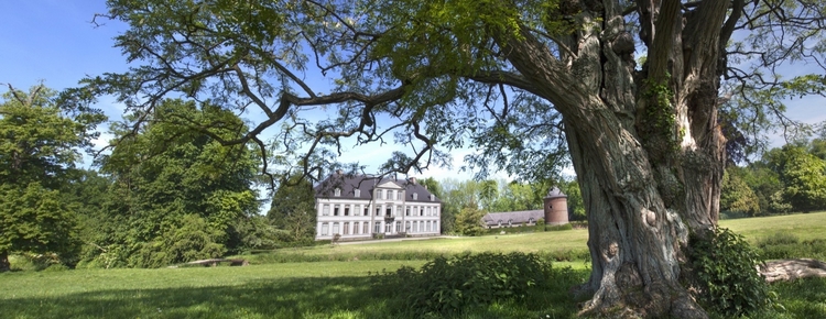 Château d’Attre